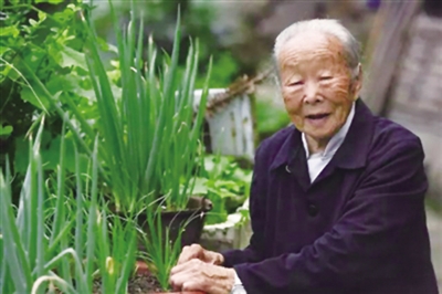 永嘉百岁老人头发里藏着长寿密码 看看报告怎么说