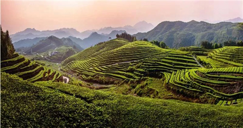 福建柘荣县人口_柘荣县霍立昀照片(3)