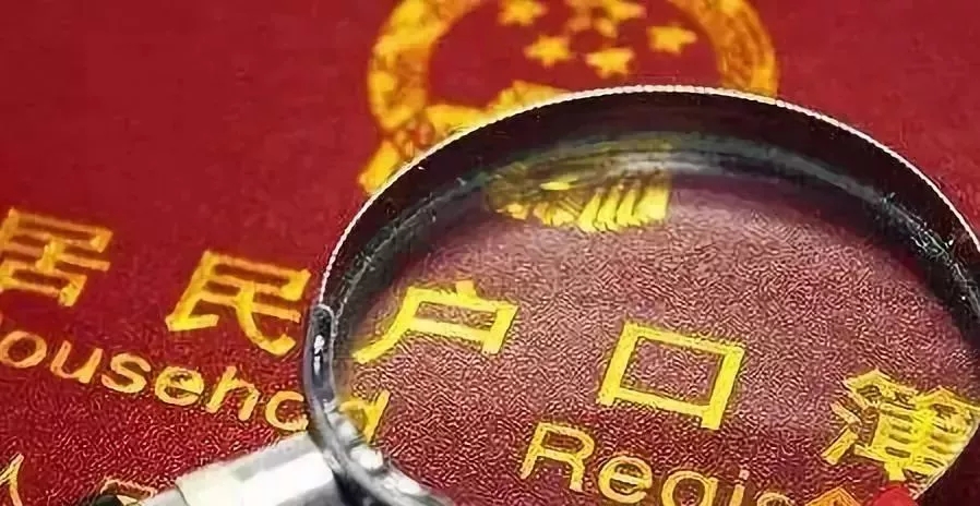 龙湾人口统计_鹿城龙湾瓯海瑞安常住人口减少(3)